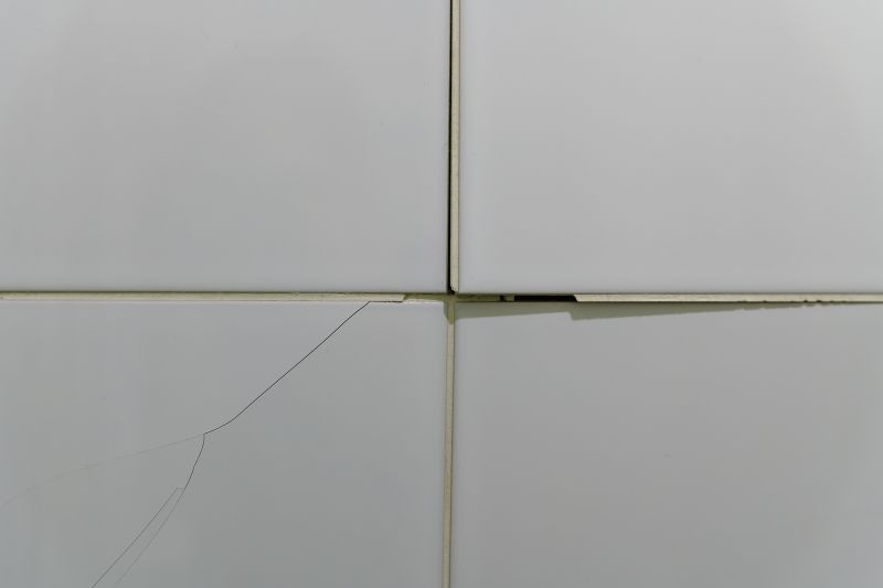 Tile Repair Professionals